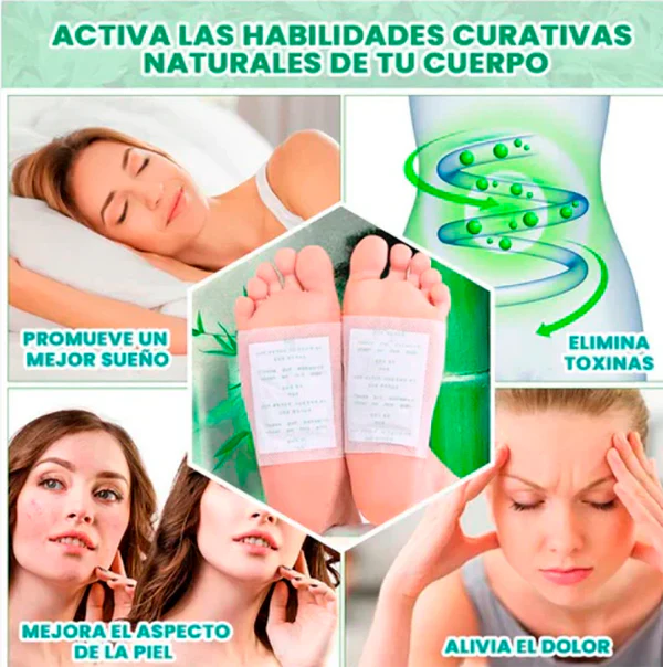 🌿 PARCHES DESINTOXICANTES KINOKI 🌿