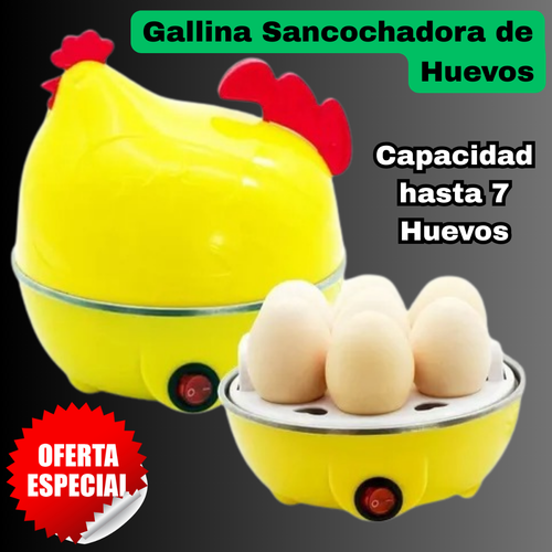 Gallina Sancochadora de Huevos PREMIUM