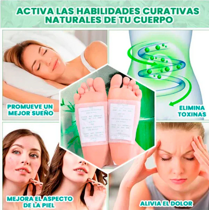 🌿 PARCHES DESINTOXICANTES KINOKI 🌿